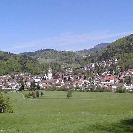 Parkhotel Sonne Schönau im Schwarzwald エクステリア 写真