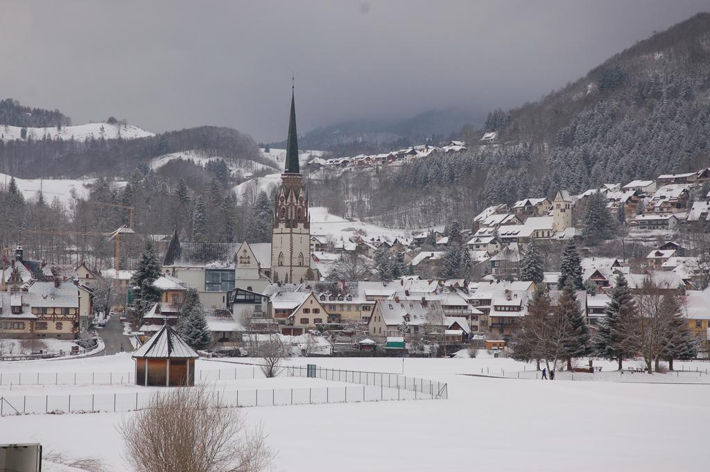 Parkhotel Sonne Schönau im Schwarzwald エクステリア 写真