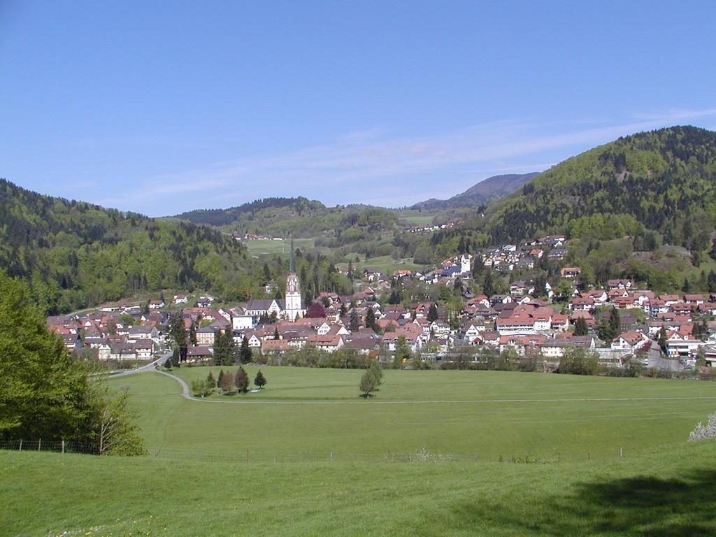 Parkhotel Sonne Schönau im Schwarzwald エクステリア 写真